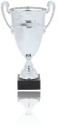 Cup Trophy Awards