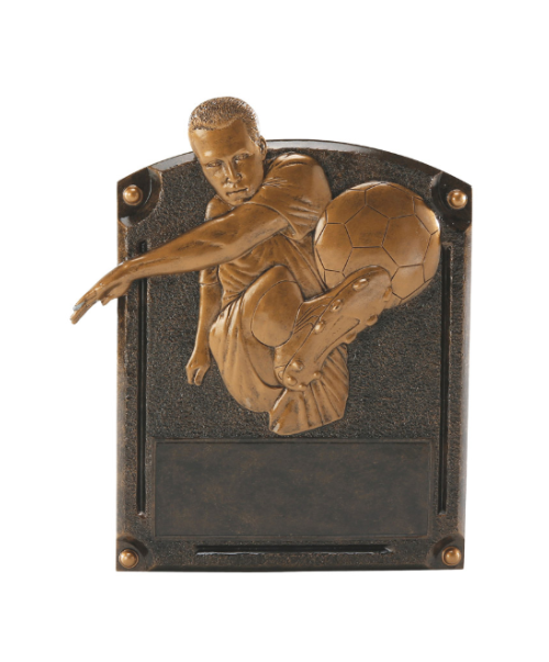 Legends of Fame Resin