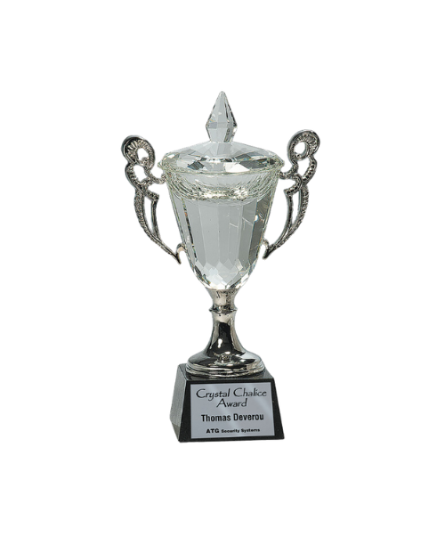 Crystal Cup with Silver Handles and Stem