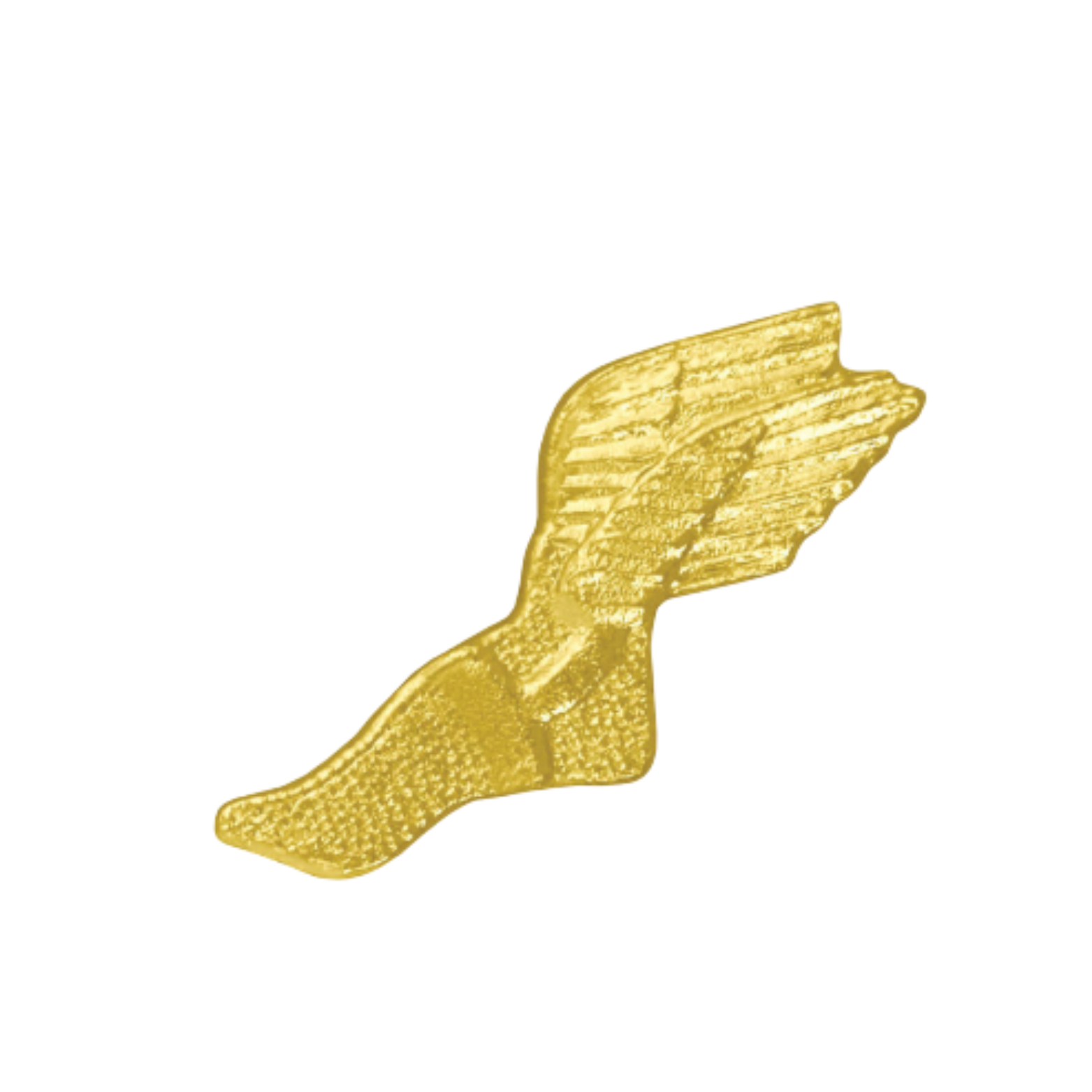 Winged Track Foot Chenille Pin