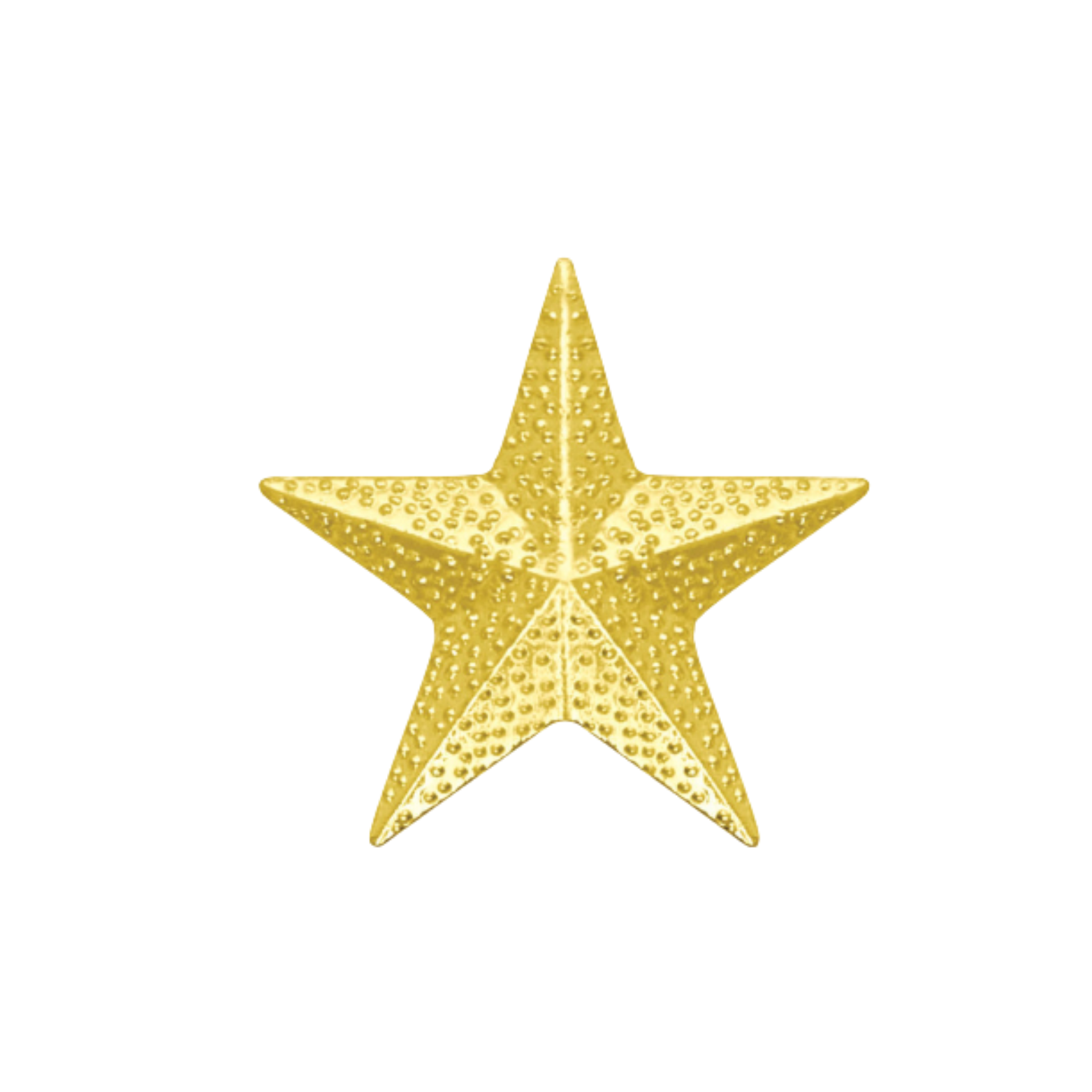 Star Chenille Pin