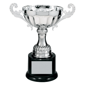Metal Cup Trophy on Plastic Base