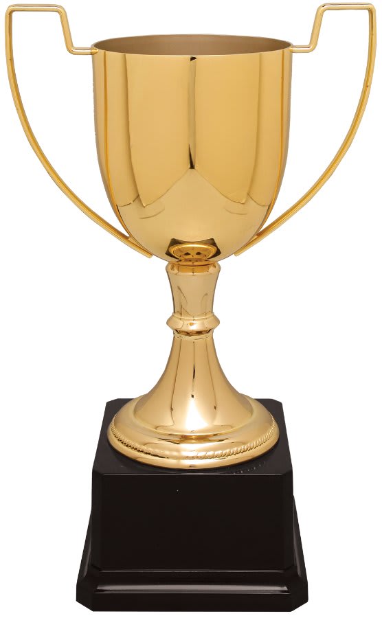 Completed Zinc Cup Trophy on Plastic Base
