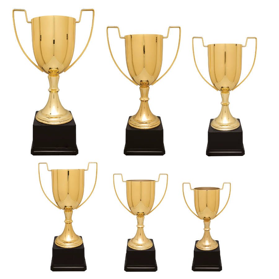 Completed Zinc Cup Trophy on Plastic Base