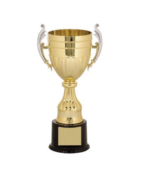Gold & Silver Plastic Cup Trophy
