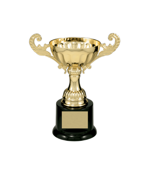 Metal Cup Trophy on Plastic Base
