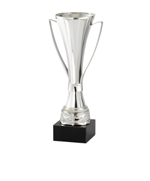 Assembled Cup