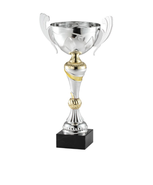 Gold & Silver Cup Trophy