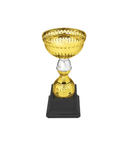 Gold & Silver Metal Cup with Plastic Stem and Base