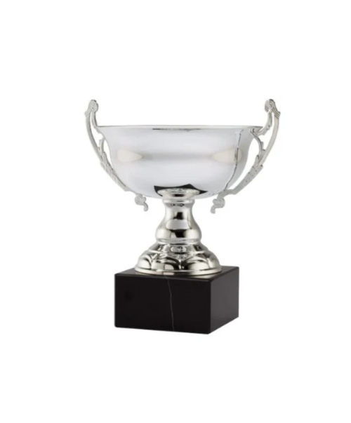 Assembled Metal Silver Cup on Genuine Black Marble Base