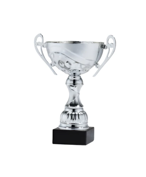 Silver Assembled Cup