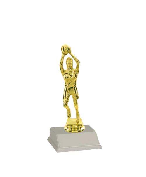 Basketball Shooting Figure