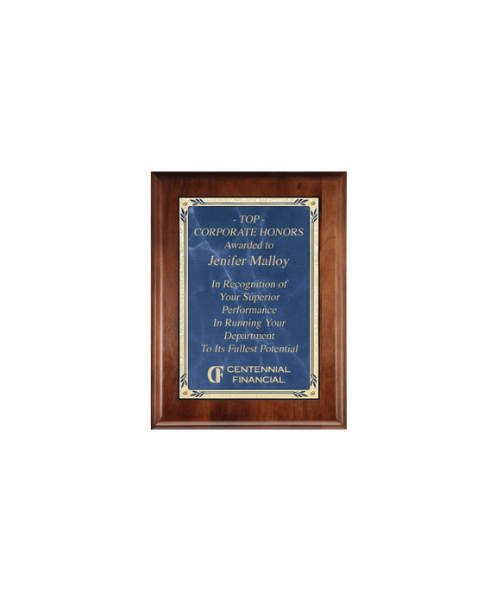 Ovation Plaque 8" x 10"