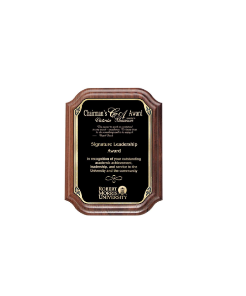 Ovation Plaque 9"x12"