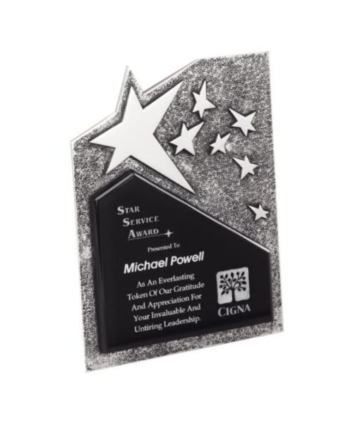 Rising Star Resin Award